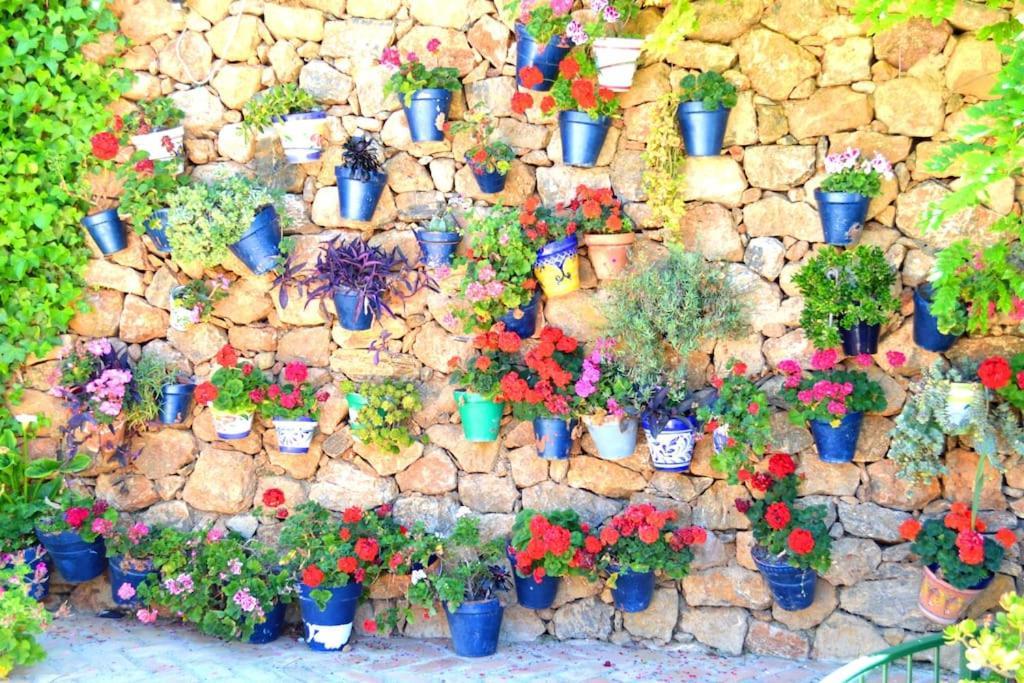 Casita Tranquila Villa Almeria Ngoại thất bức ảnh